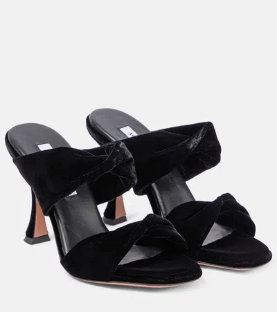 Aquazzura Twist Velvet Mules In Black