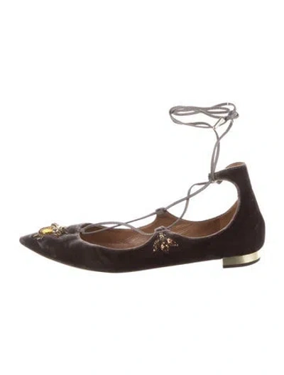 Pre-owned Aquazzura Velvet Ballet Flats In Brown