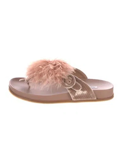 Pre-owned Aquazzura Velvet Feather Trim Slides In Neutral