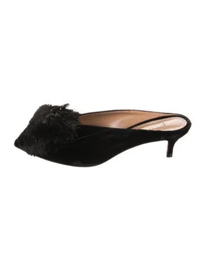 Pre-owned Aquazzura Velvet Pom-pom Embellishments Mules In Black