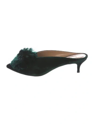 Pre-owned Aquazzura Velvet Pom-pom Embellishments Mules In Green
