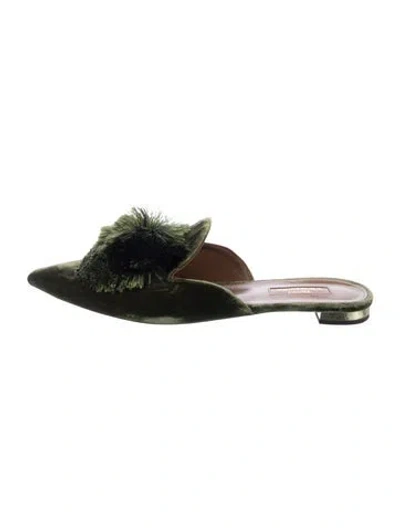 Pre-owned Aquazzura Velvet Pom-pom Embellishments Mules In Green