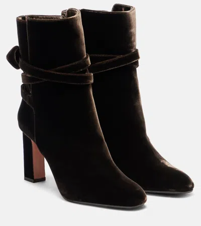 Aquazzura Woman Ankle Boots Dark Brown Size 7 Leather In Multi