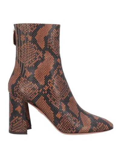 Aquazzura Woman Ankle Boots Camel Size 8 Calfskin In Beige