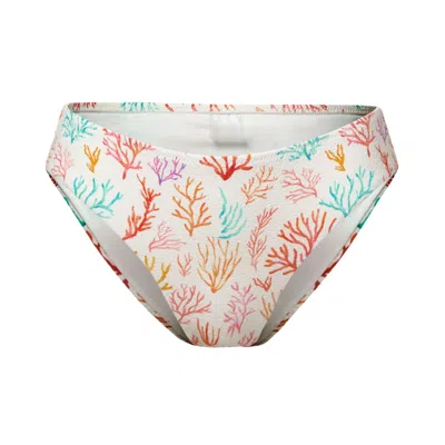 Aqva Swimwear Women's Coral Print Salinas Bikini Bottom In Orange
