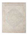 Ar Rugs Century Dina Transitional Rug In Gray