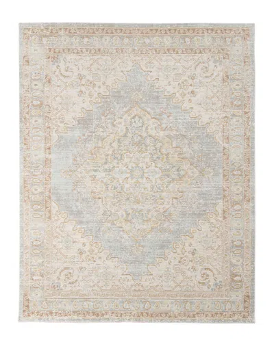 Ar Rugs Century Dina Transitional Rug In Gray