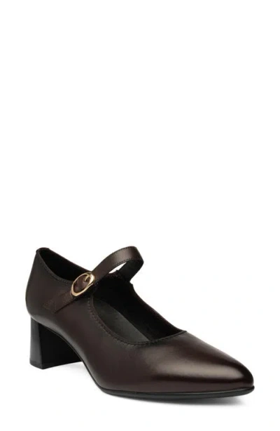 Ara Adelaide Mary Jane Pointed Toe Pump In Brown