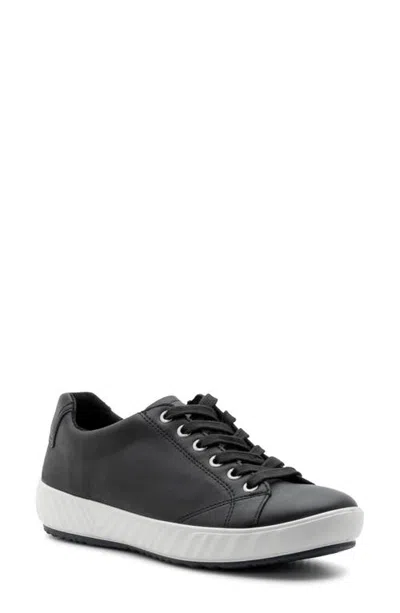 Ara Alexandria Suede Sneaker In Black