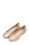 Ara Balsam Flat In Transparent
