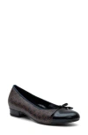 Ara Belinda Ballet Flat In Navy/brown Logo Print