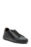 Ara Camden Sneaker In Black/black