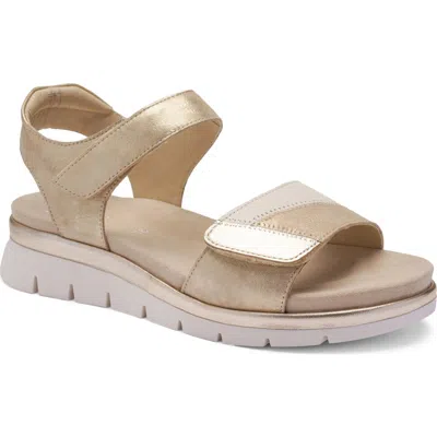 Ara Cheyenne Sandal In Nude
