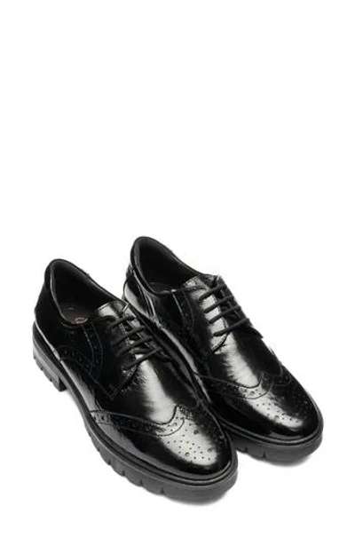 Ara Clementine Wingtip Derby In Black