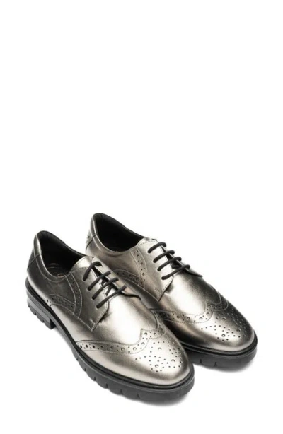 Ara Clementine Wingtip Derby In Brown