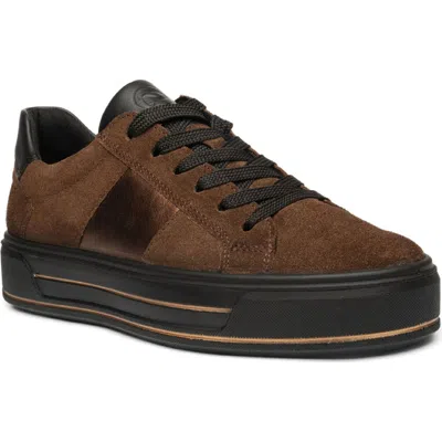 Ara Conifer Sneaker In Brown