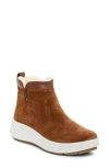 Ara Dahlia Waterproof Faux Fur Lined Sneaker In Brown