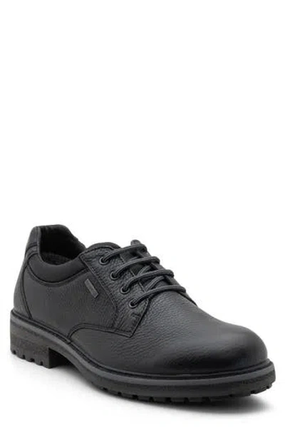 Ara Farren Waterproof Plain Toe Derby