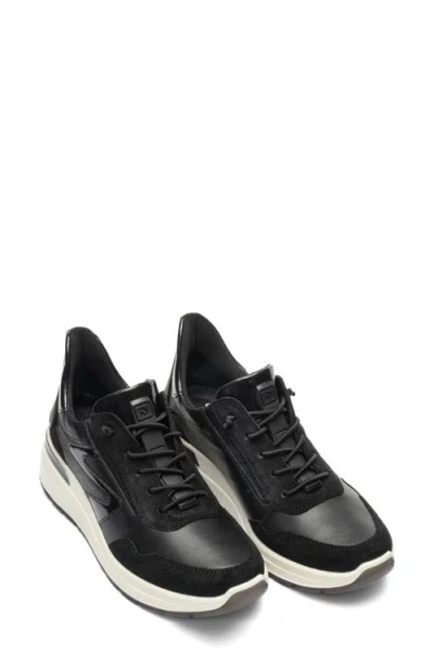 Ara Galicia Sneaker In Black