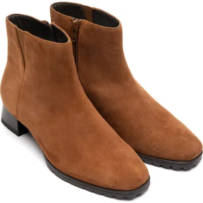 Ara Galway Bootie In Nuts