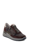 Ara Gardenia Sneaker In Brown