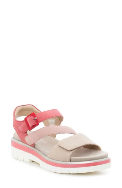 Ara Maldives Sandal In Shelll/piggy Pink/doll Pink