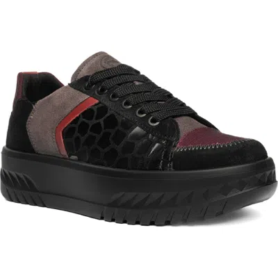 Ara Mamba Platform Sneaker In Black