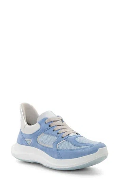 Ara Mariana Sneaker In Blue