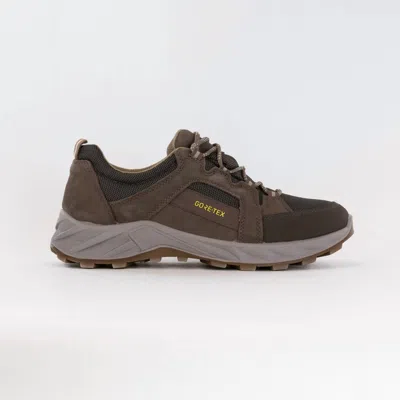 Ara Men's Sting Gore-tex Lace Up Sneaker In Beige/grey In Brown