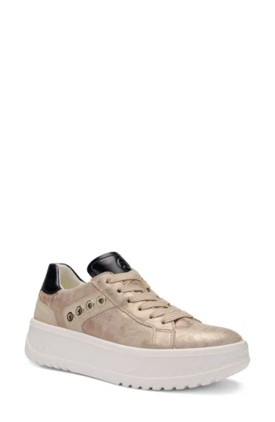 Ara Meridian Platform Sneaker In Neutral