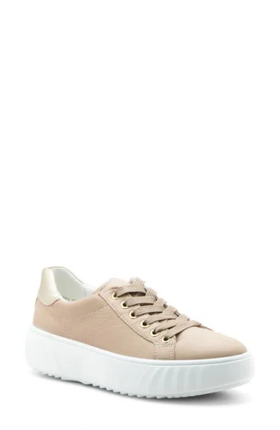 Ara Mikky Platform Sneaker In Gold