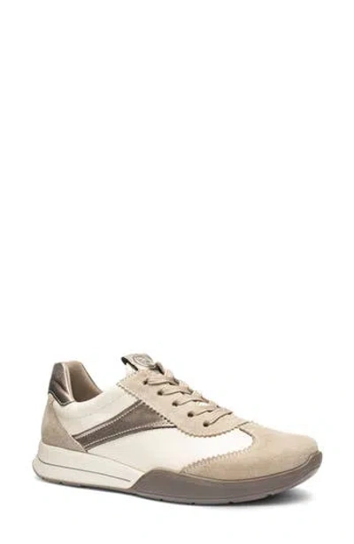 Ara Myrtle Sneaker In Neutral