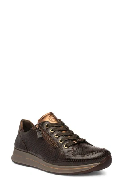 Ara Oleanna Sneaker In Brown