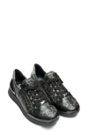 Ara Oleanna Zip Sneaker In Multi