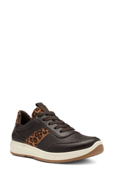 Ara Oolong Sneaker In Brown