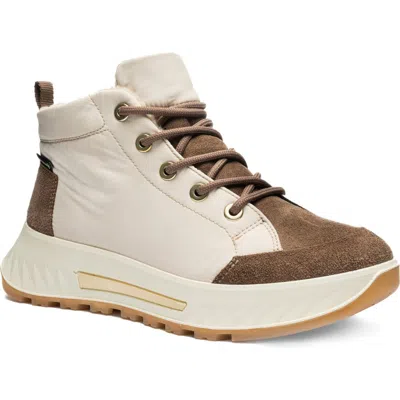 Ara Shale Faux Shearling Lined High Top Sneaker In Sesame