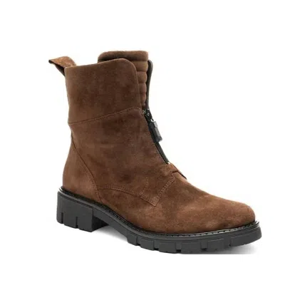 Ara Shoes Women's Deon Ankle Boots In Cafe Brown In Multi