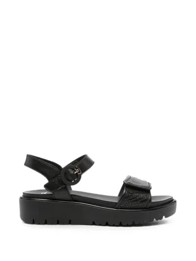 Ara Snakeskin-effect Touch-strap Sandals In Black