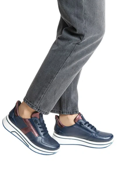 Ara Surrey Low Top Sneaker In Blue