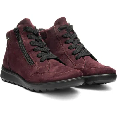 Ara Thistle Gore-tex® Waterproof Bootie In Burgundy