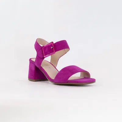 Ara Women's Bethel Dress Sandal In Pink