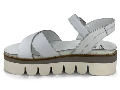 Ara Women's Forest Hills Sandal In White
