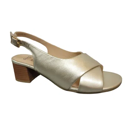 Ara Women's Petunia Sandals In Platino In Multi