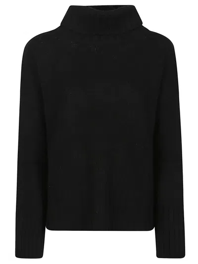 Aragona Long-sleeve Turtle Neck Cashmere Sweater In Black
