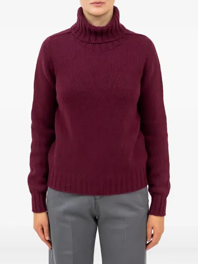 Aragona Turtleneck Ribbed Sweater In Burgundy