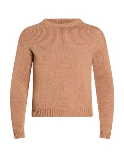 Aragona Woman Sweater Camel Size 4 Cashmere In Nude