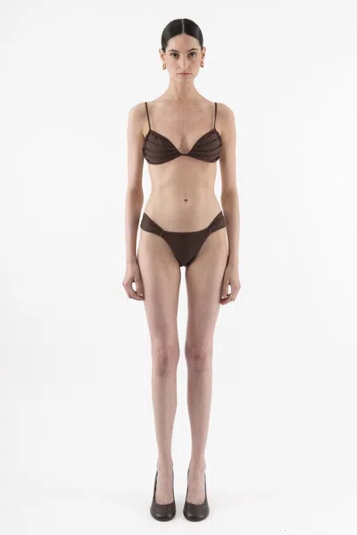 Arakii Butterfly Bikini Bottom In Brown