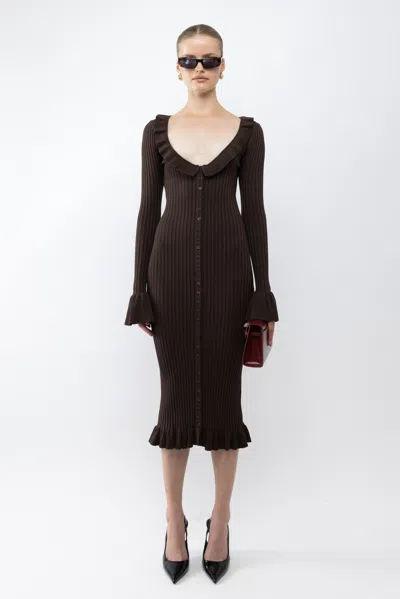 Arakii Frill Dress In Brown