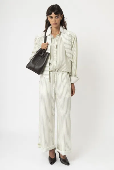 Arakii Relaxed Striped Pants In Green Stripe