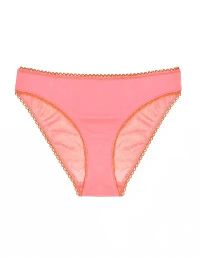 Araks Women's Isabella Cotton Bikini Panty In Dahlia In Multi